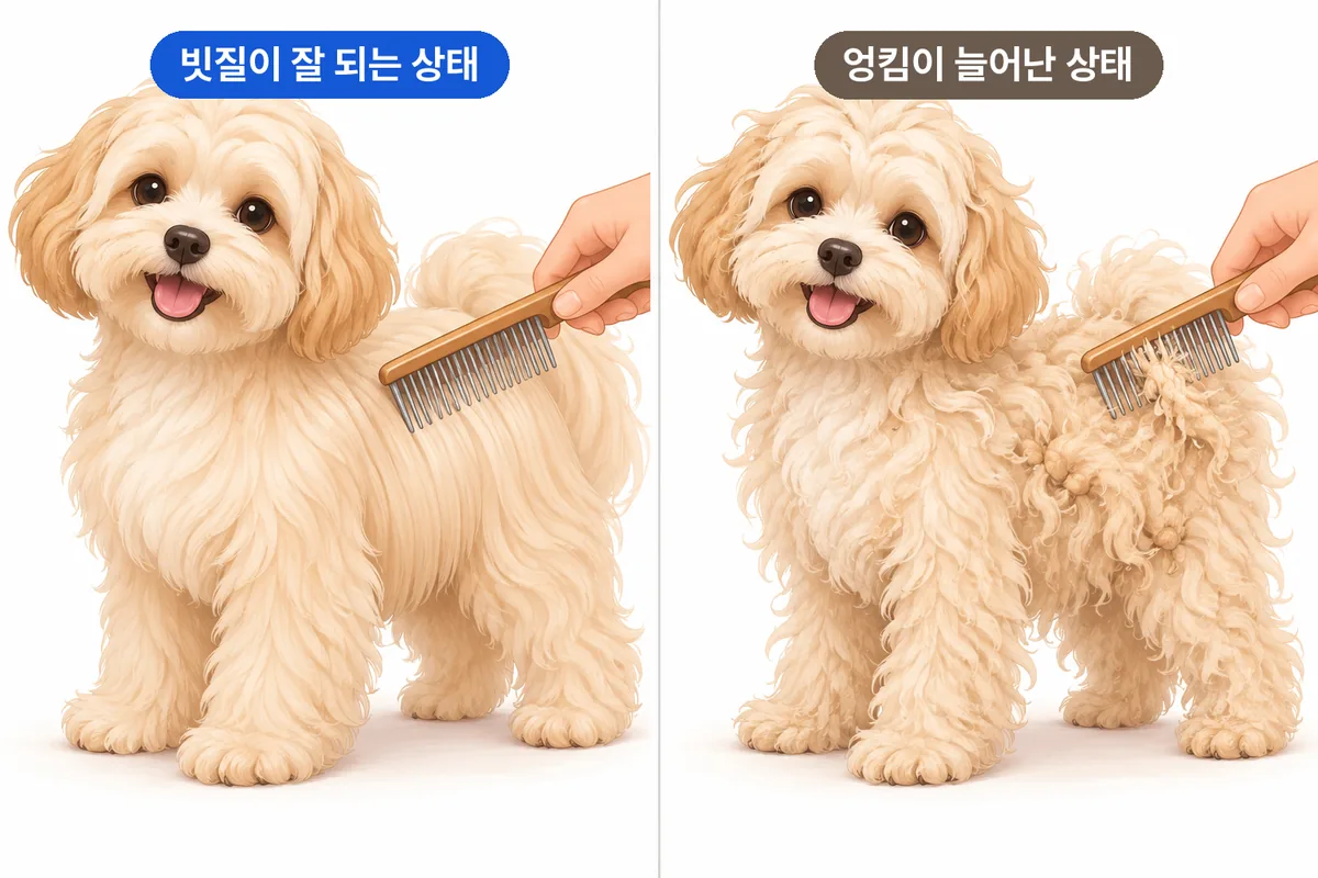 빗질이 잘 되는 털 상태와 엉킴이 늘어난 털 상태를 비교한 그림